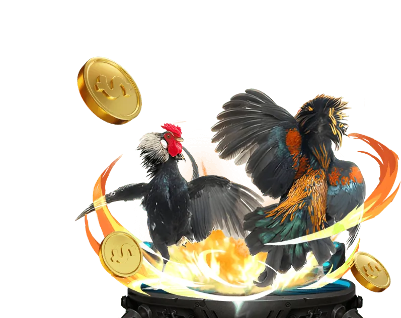 Hoàn Trả Thể Thao Casino